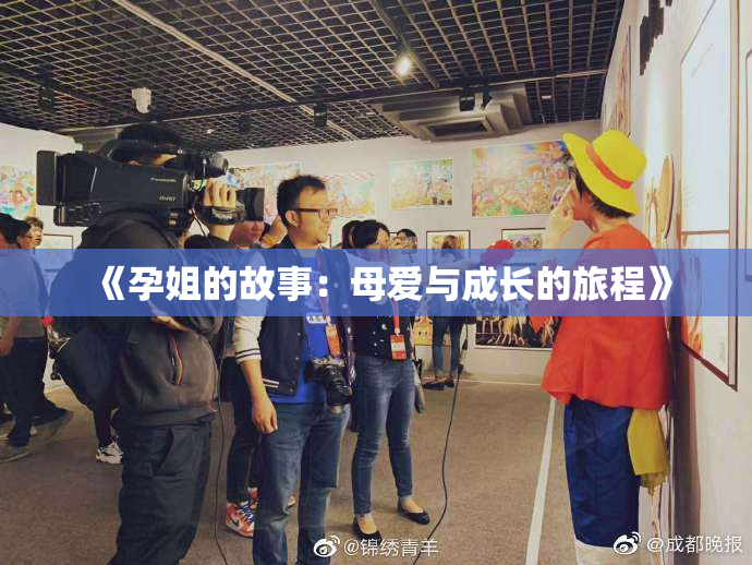 《孕姐的故事：母爱与成长的旅程》