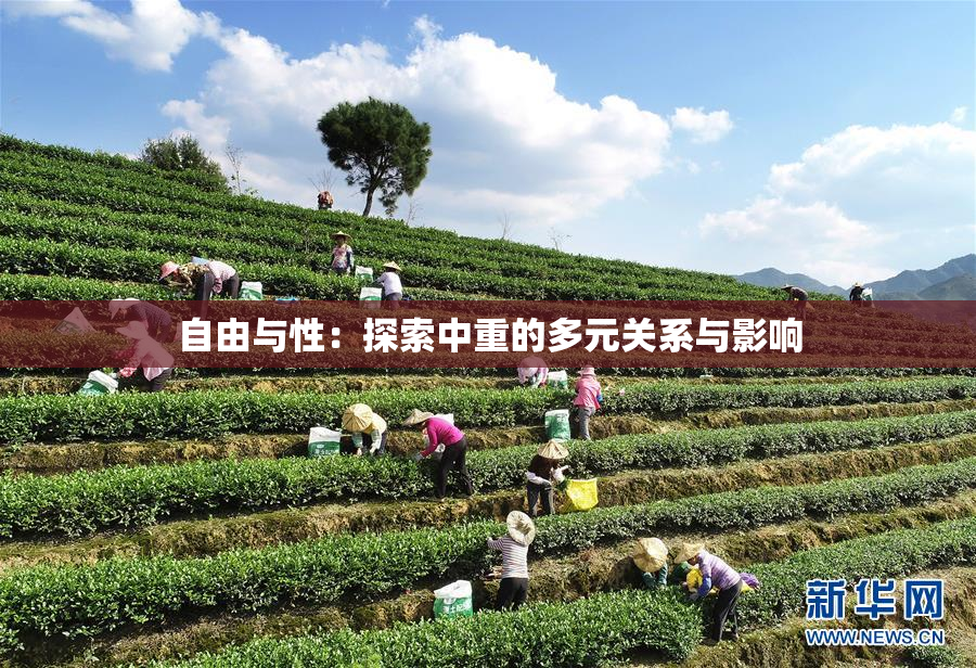 自由与性：探索中重的多元关系与影响