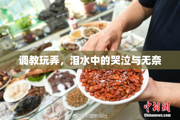 调教玩弄，泪水中的哭泣与无奈