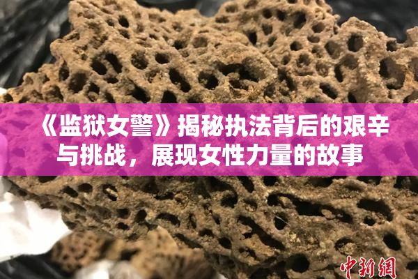 《监狱女警》揭秘执法背后的艰辛与挑战，展现女性力量的故事