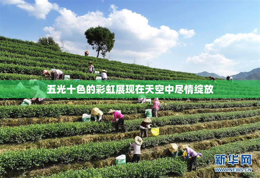 五光十色的彩虹展现在天空中尽情绽放