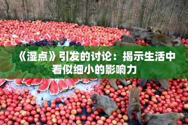 《湿点》引发的讨论：揭示生活中看似细小的影响力