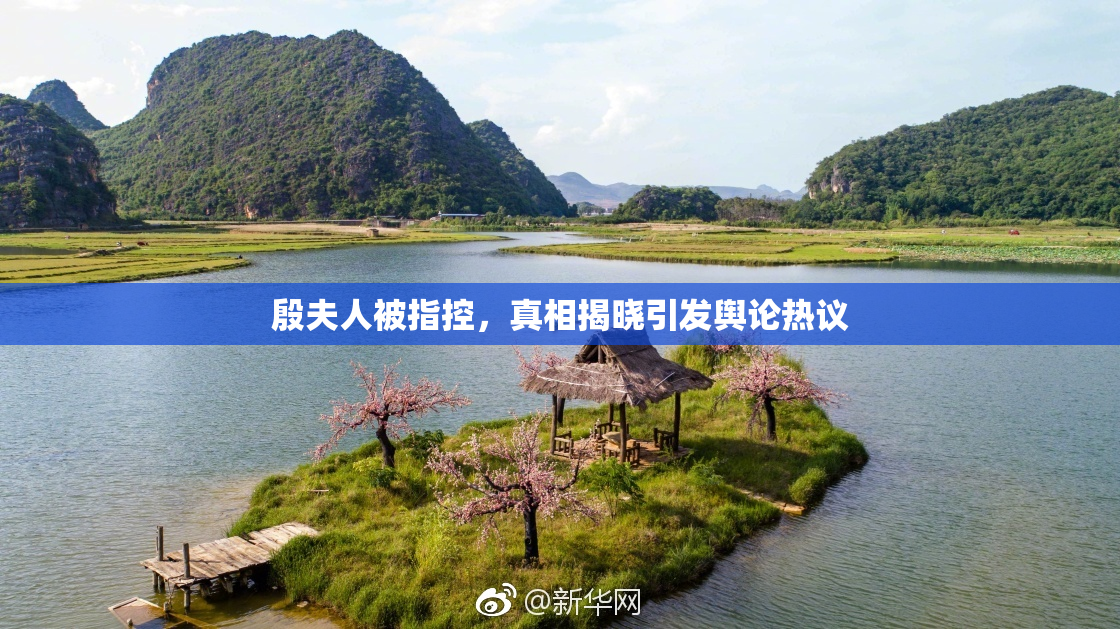 殷夫人被指控，真相揭晓引发舆论热议