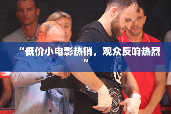 “低价小电影热销，观众反响热烈”