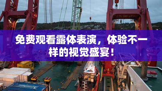 免费观看露体表演，体验不一样的视觉盛宴！