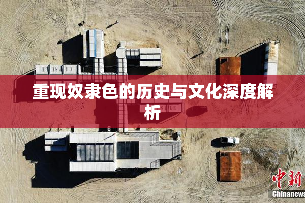 重现奴隶色的历史与文化深度解析