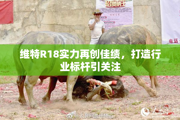 维特R18实力再创佳绩，打造行业标杆引关注
