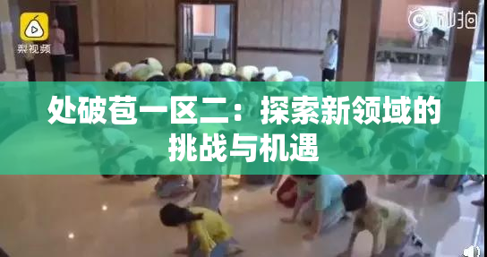 处破苞一区二：探索新领域的挑战与机遇