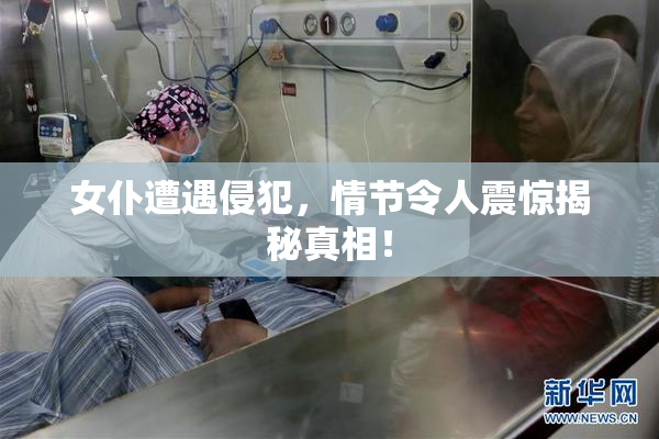 女仆遭遇侵犯，情节令人震惊揭秘真相！