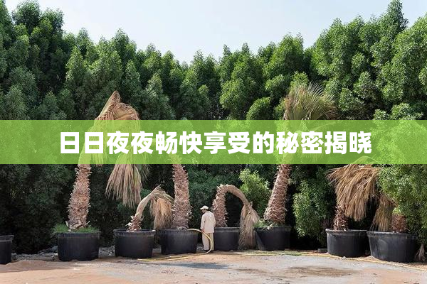 日日夜夜畅快享受的秘密揭晓