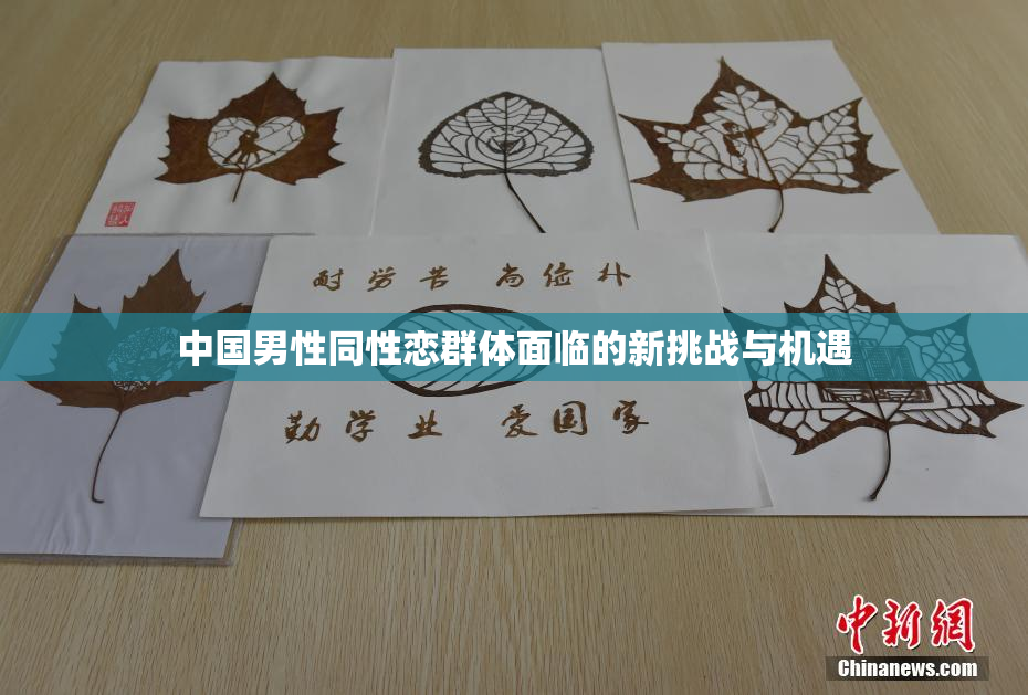 中国男性同性恋群体面临的新挑战与机遇