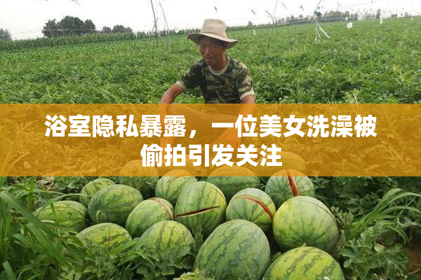 浴室隐私暴露，一位美女洗澡被偷拍引发关注