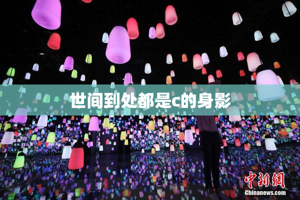 世间到处都是c的身影