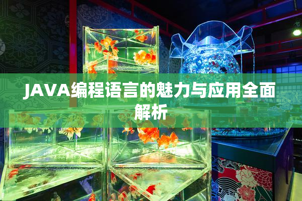JAVA编程语言的魅力与应用全面解析