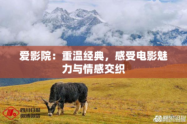 爱影院：重温经典，感受电影魅力与情感交织