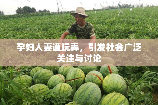 孕妇人妻遭玩弄，引发社会广泛关注与讨论