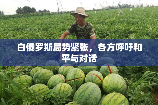 白俄罗斯局势紧张，各方呼吁和平与对话