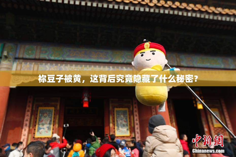 祢豆子被黄，这背后究竟隐藏了什么秘密？
