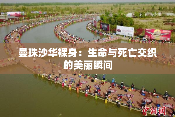 曼珠沙华裸身：生命与死亡交织的美丽瞬间