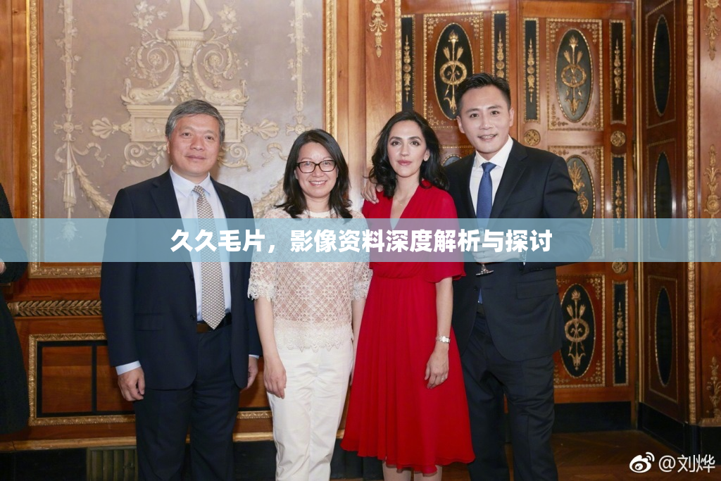 久久毛片，影像资料深度解析与探讨