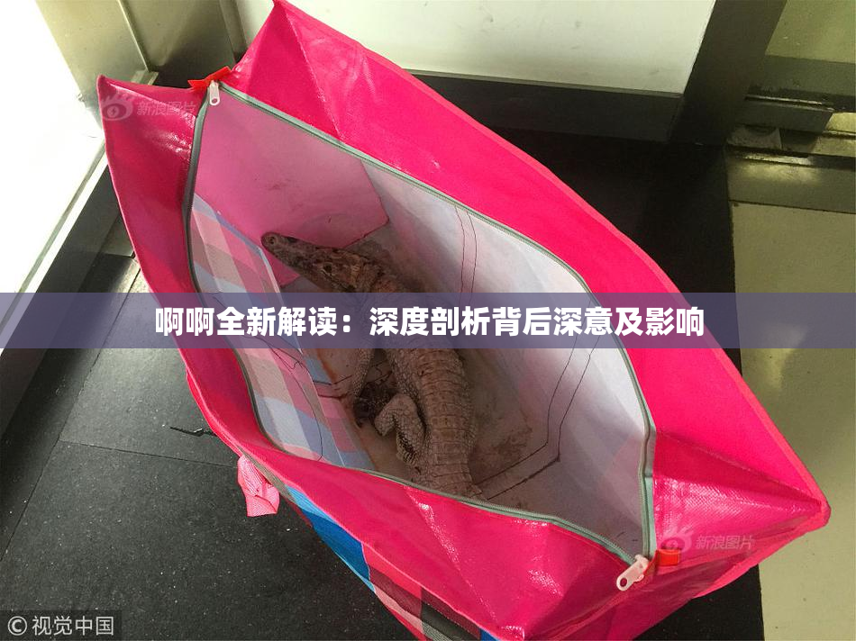 啊啊全新解读：深度剖析背后深意及影响