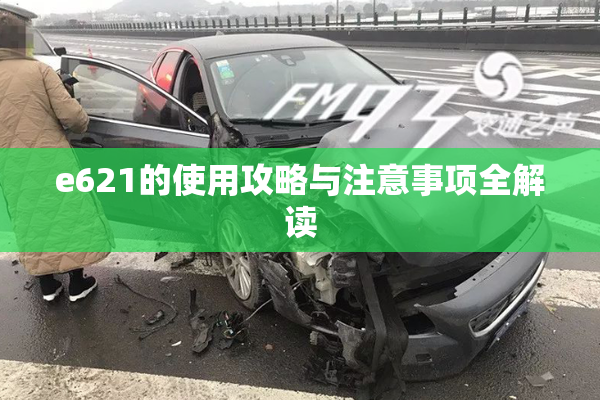 e621的使用攻略与注意事项全解读