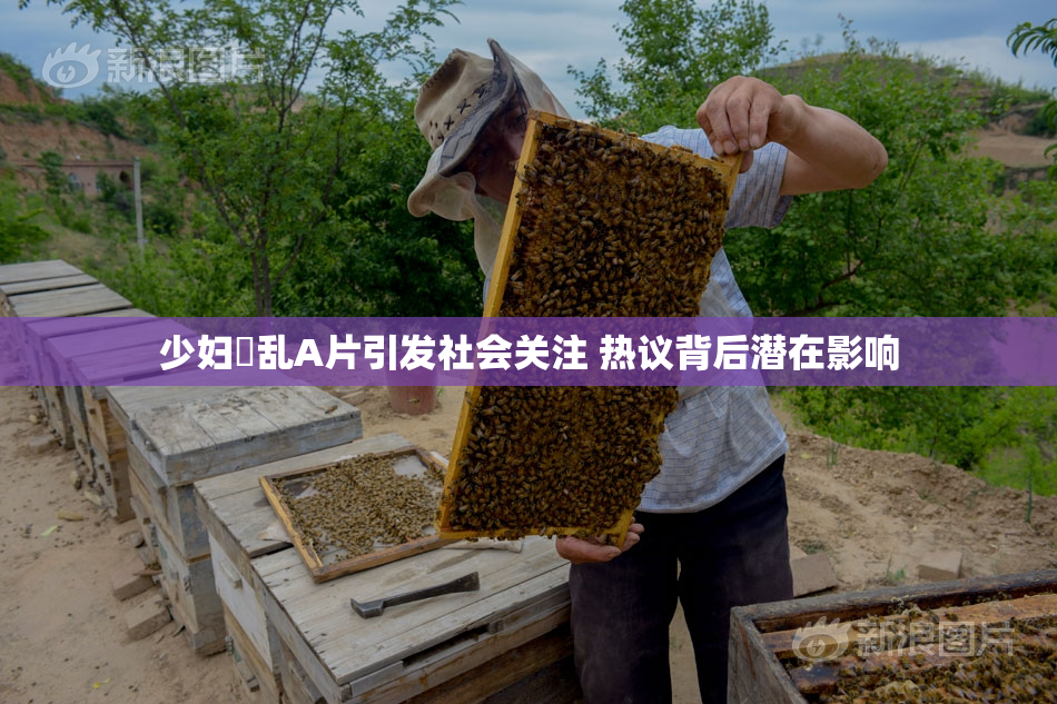 少妇婬乱A片引发社会关注 热议背后潜在影响