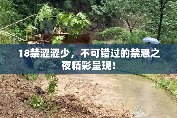 18禁涩涩少，不可错过的禁忌之夜精彩呈现！