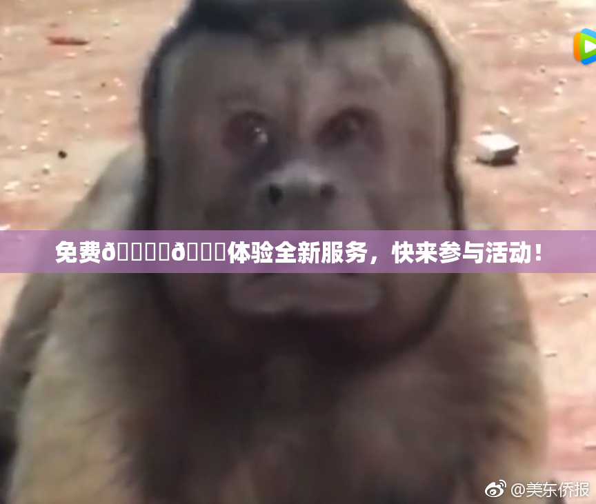 免费🔞‌🍌体验全新服务，快来参与活动！
