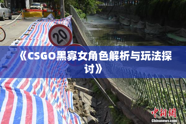 《CSGO黑寡女角色解析与玩法探讨》