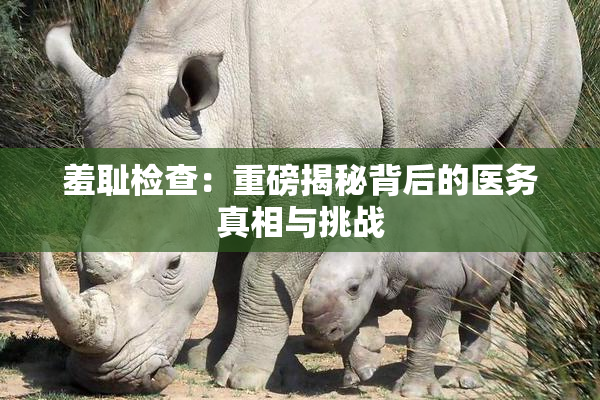 羞耻检查：重磅揭秘背后的医务真相与挑战