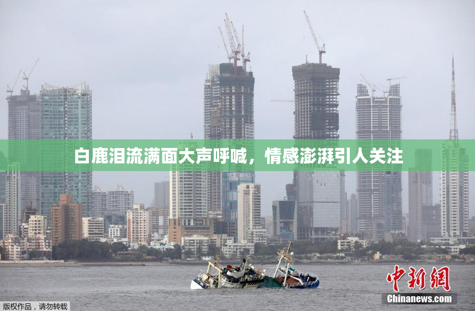 白鹿泪流满面大声呼喊，情感澎湃引人关注