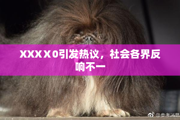 XXXⅩ0引发热议，社会各界反响不一