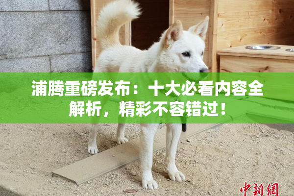 浦腾重磅发布：十大必看内容全解析，精彩不容错过！