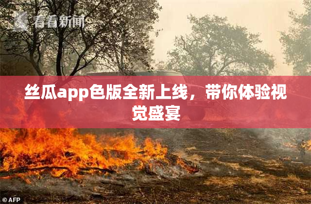 丝瓜app色版全新上线，带你体验视觉盛宴