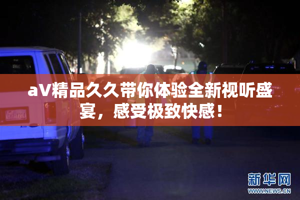 aV精品久久带你体验全新视听盛宴，感受极致快感！