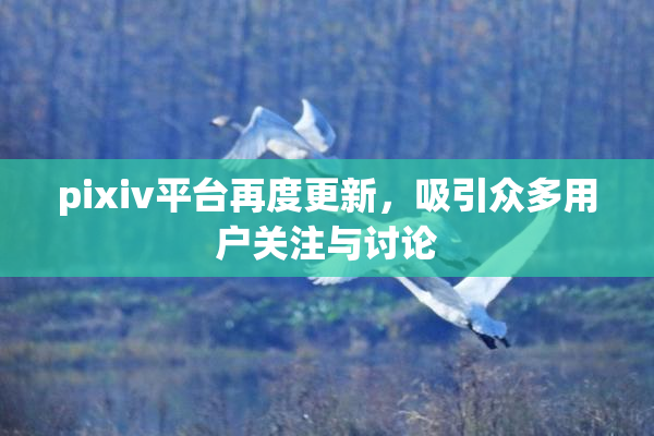 pixiv平台再度更新，吸引众多用户关注与讨论
