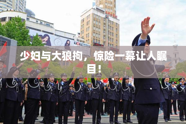 少妇与大狼拘，惊险一幕让人瞩目！