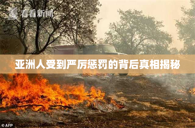 亚洲人受到严厉惩罚的背后真相揭秘
