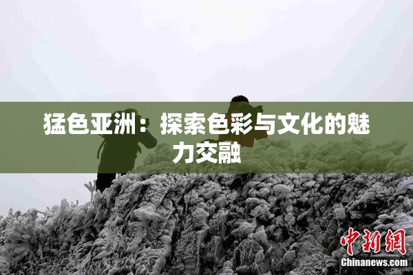 猛色亚洲：探索色彩与文化的魅力交融