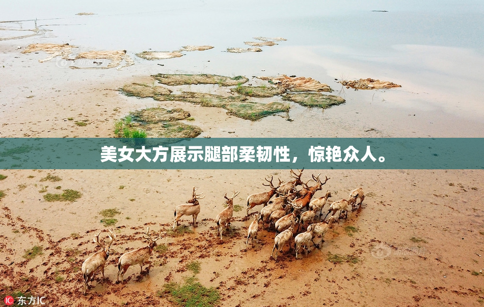 美女大方展示腿部柔韧性，惊艳众人。