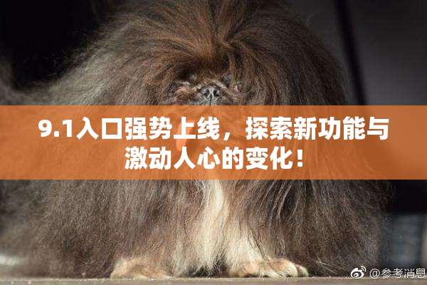 9.1入口强势上线，探索新功能与激动人心的变化！