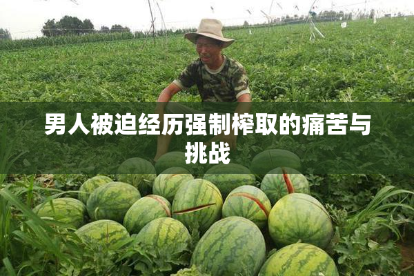 男人被迫经历强制榨取的痛苦与挑战