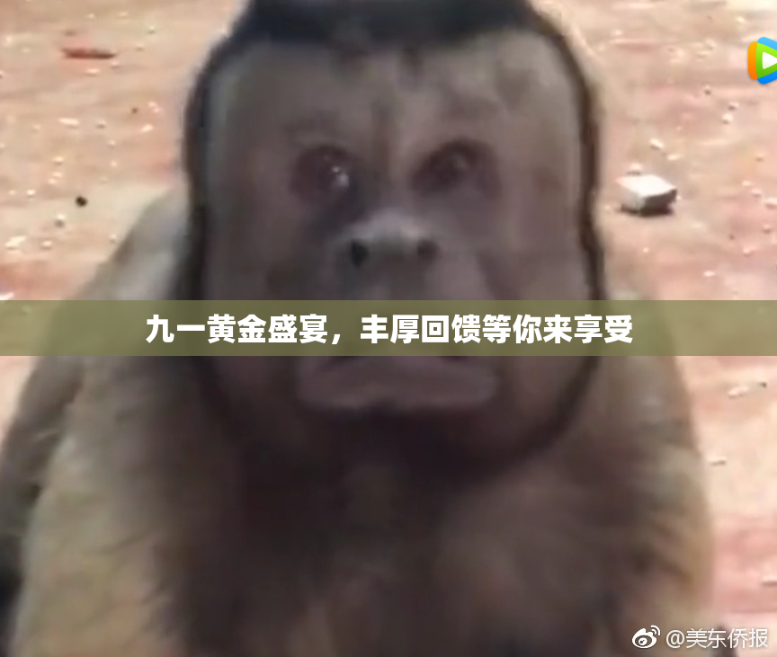 九一黄金盛宴，丰厚回馈等你来享受
