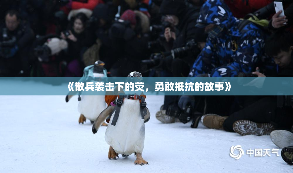 《散兵袭击下的荧，勇敢抵抗的故事》