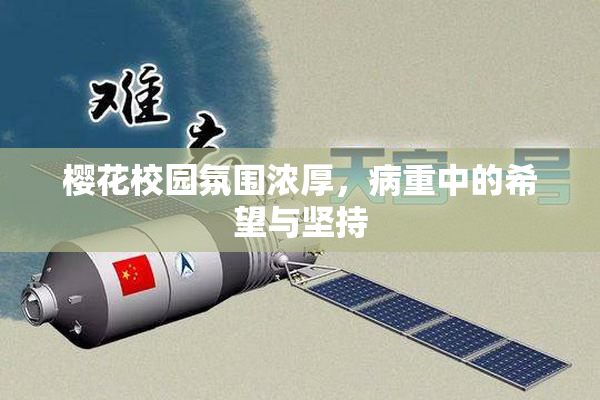 樱花校园氛围浓厚，病重中的希望与坚持
