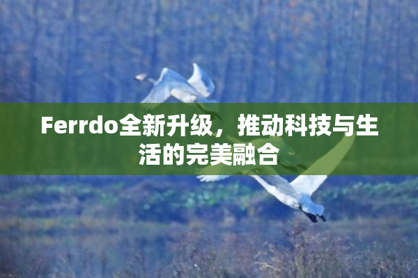 Ferrdo全新升级，推动科技与生活的完美融合
