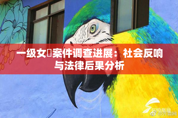 一级女婬案件调查进展：社会反响与法律后果分析