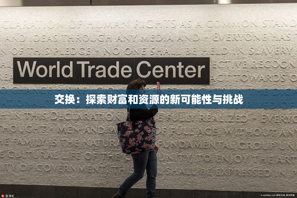 交换：探索财富和资源的新可能性与挑战