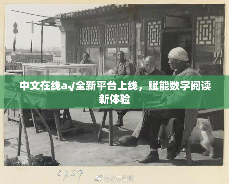 中文在线а√全新平台上线，赋能数字阅读新体验